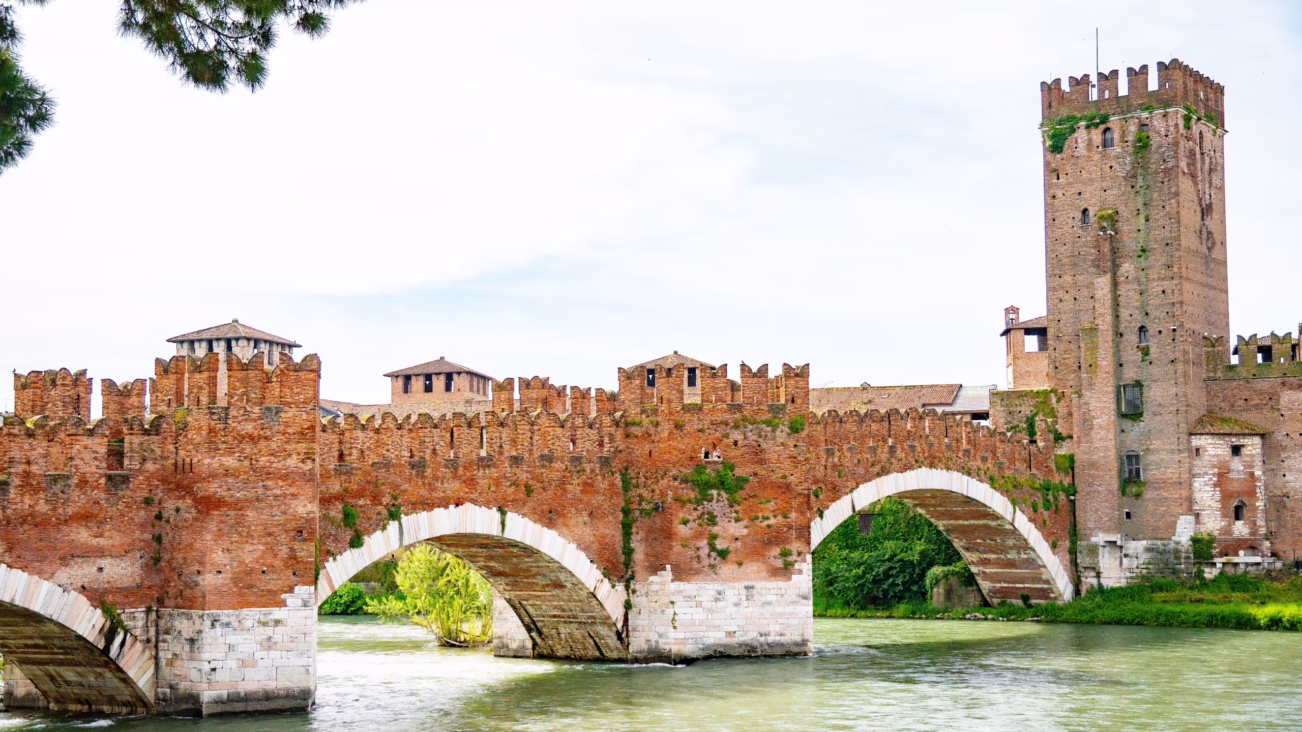 Coltelleria Fazzini - Castelvecchio